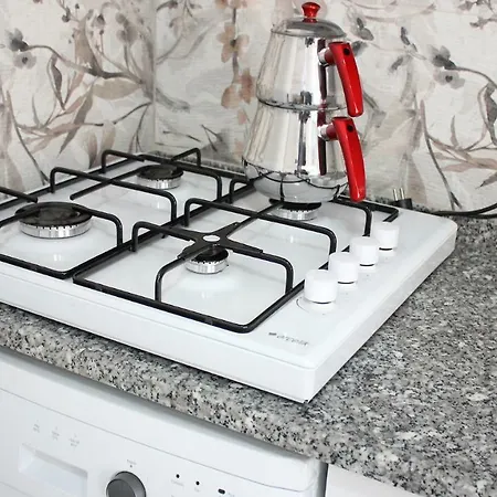 Aga Apart Eski Datca Aparthotel Mugla
